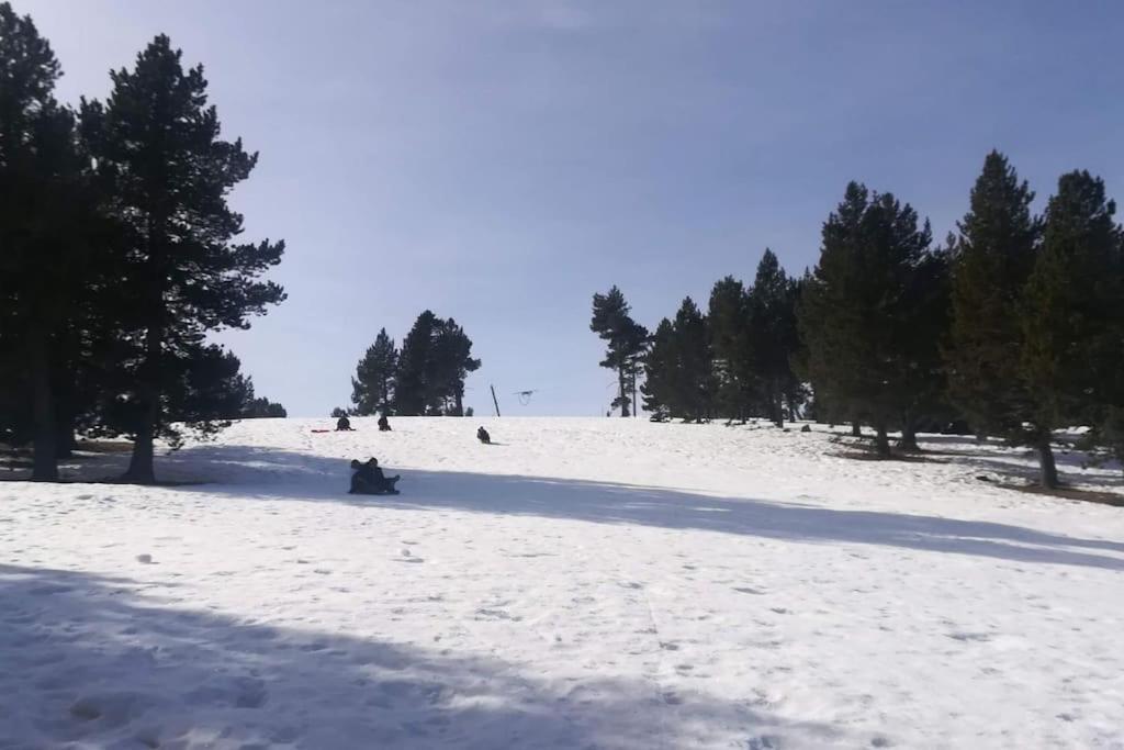 El Niuet De Cal Cacuet, La Teva Escapada Rural. Daire Aviá Dış mekan fotoğraf