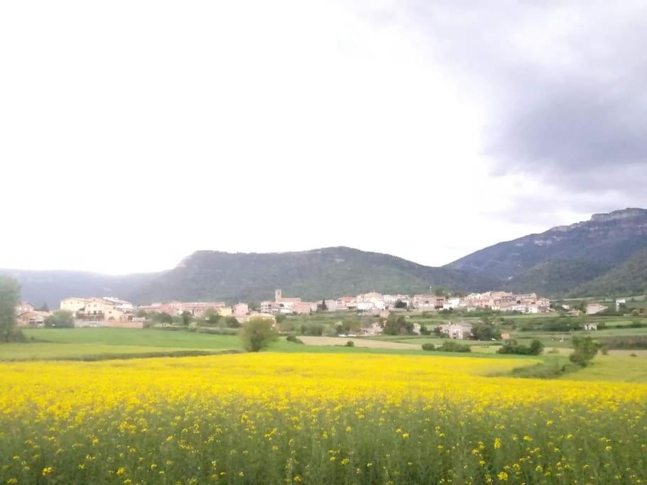 El Niuet De Cal Cacuet, La Teva Escapada Rural. Daire Aviá Dış mekan fotoğraf