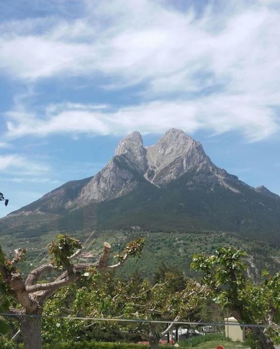 El Niuet De Cal Cacuet, La Teva Escapada Rural. Daire Aviá Dış mekan fotoğraf